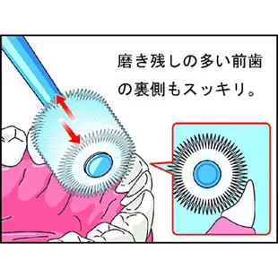 ⭐️日本原廠貨 附發票⭐️ 日本STI-IR 蒲公英360度牙刷 嬰兒牙刷 / 兒童牙刷 / 成人牙刷 STB牙刷