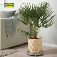 在飛比找蝦皮購物優惠-【熱銷免運】IKEA宜家KAFFEBONA卡布納裝飾用花盆手