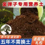 ☊【送禮品】金彈子專用土家用盆栽營養土酸性沙質土壤綠植種植土