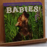 在飛比找蝦皮購物優惠-「二手書」Babies Animal Board book 