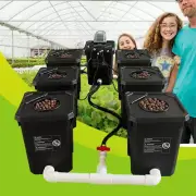 Hydroponics RDWC Growing System 1+6 Cloner 27L UV Protection DWC Growing Kit AU