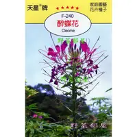 在飛比找蝦皮購物優惠-【萌田種子~花卉種子】Y17 醉蝶花Cleome~穗耕種苗~