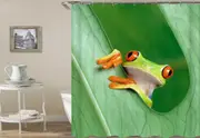 Frog on Green Shower Curtain