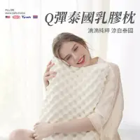 在飛比找momo購物網優惠-【桑桑選品】泰國乳膠枕 天然乳漿 薄款55x35x8cm(乳