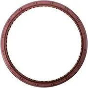 Crankshaft Rear Seal OSS0447