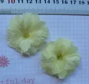 Chiffon Petal Layered PRIMULA Flower - LEMON - Bead Centre - 2 x 45mm GE NJC