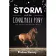 The Storm and the Connemara Pony - The Coral Cove Horses Series