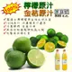 【果味仙】檸檬汁鮮榨100%原汁 台灣新鮮檸檬原汁、金桔原汁(冷凍) (9折)