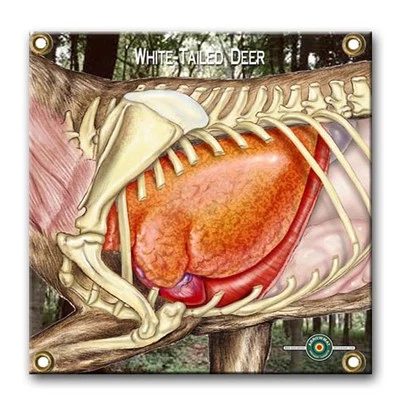ARROWMAT-1500 PLUS SHOTS! VITAL WHITETAIL17"X 17"