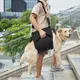 寵物輔助帶 狗狗輔助帶 狗狗輔助衣 老犬輔助帶 高齡犬 寵物輔助帶 老年犬受傷犬上下樓梯車提拉帶狗狗中大型犬金毛擔架