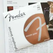 1 Pack Fender 60L Acoustic Guitar Strings 12-53 Set Light Phosphor Bronze String