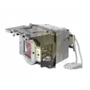 Original bulb inside Projector Lamp Module for BENQ 5J.JFR05.001