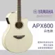 【非凡樂器】YAMAHA/APX600/木吉他/白色/贈超值配件包/公司貨保固