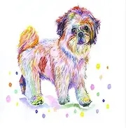 Diamond Painting Kits, DIY 5D Diamond Painting by Numbers Kits for Adults & Kids, Large Full Drill Diamond Art with Upgrade Toolkit, Home Wall Decoration and Gift (Shih Tzu Pet Dog 80x100cm/32x40in)