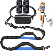 UPET Hands Free Dog Leash Professional Reflective Training leashes Small Medium and Large Dogs Accessories Leads Suitable for Running Walking Jogging Hiking Adjustable Waist Belt Zipper Pouch（Blue）