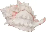 Zoo Med X-Large Hermit Crab Growth Shell