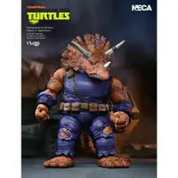 在飛比找蝦皮購物優惠-Artlife ㊁ NECA TMNT NICKELODEO