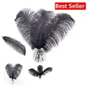 Versatile 20-Piece Black Ostrich Feather Craft Kit for Weddings and Celebrations