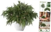 12 Pcs Christmas Artificial Pine Branches,17.3'' Plastic Pine Style-12 PCS
