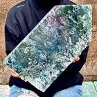 6.6LB Natural Geode Aquatic Plant Water Grass Moss Agate Obelisk Crystal Reiki