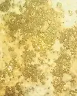 209.787 Grams Extremely Beautiful!! Telluride Gold Ore Including Copper + Iron!