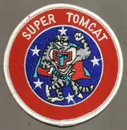 U.S. Navy F-14 Super Tomcat patch