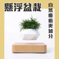 在飛比找momo購物網優惠-【神奇！懸空的植物擺飾】懸浮盆栽(磁浮 植栽 布置 花盆 觀