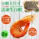 【築地一番鮮】 蝦王巨無霸海水養殖活凍21/25生白蝦2盒(500g/10±2尾)
