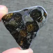 16.05Ct Brenham Olive Meteorite Pendant Olive Meteorite Slice