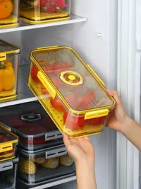 在飛比找樂天市場購物網優惠-廚房冰箱收納盒冷凍保鮮盒冰箱專用食品級水果蔬菜雞蛋儲存收納盒