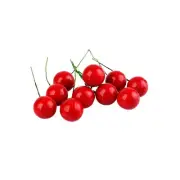 Christmas Tree Fillers Christmas Red Berry Decor Artificial Berry Stems