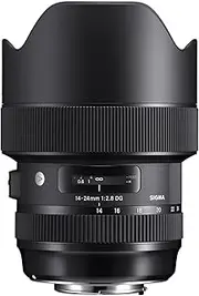 Sigma 4212955 14-24mm f/2.8 DG HSM Art Lens for Nikon, Black
