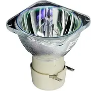 NP30LP Projector Lamp with Housing for M322H M323H M332XS M333XS M352WS M353WS M402H M402W M402X M403H M403W M403X ME403H NP-M403H M403HG ME382U(Bare lamp)