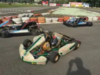 在飛比找Yahoo!奇摩拍賣優惠-TONY KART 比賽車 125cc 水冷引擎_GO KA