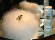 Chameleon ~ 6 oz Perfumed Dusting Powder w/ Puff & Stand by Renditions