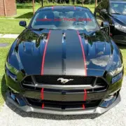 10 Inch Racing Stripes Decal Vinyl Decal Twin Duel 10" + 1/2" Pinstripe 36 FEET