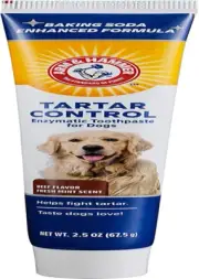 Beef Flavor Tartar Control Enzymatic Toothpaste for Dogs 67.5 G