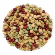 Organic Crunchy Mix of Sprouting Beans — Non-GMO, Kosher, Non-Irradiated, Vegan