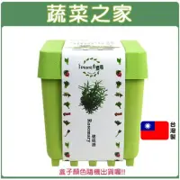 在飛比找momo購物網優惠-【蔬菜之家】iPlant小農場系列-迷迭香(可任意組合盆栽)