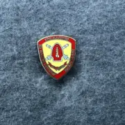 Military Hat Pin: U.S.M.C. 10th Marine Regiment [1"]