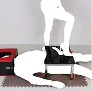 ZJPOJPH BDSM Bondage Penis Pillory Sex Furniture Testicle Sex Toys SM Sex Chair Punishment Restraint System Sex Furniture Bondage Set For Men Women