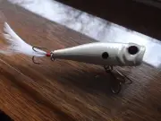 Custom Painted Gary Yamamoto Sugoi Splash No.2 RI Bone