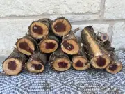 Eastern Red Cedar Carving Sticks / So Many Whittling Options!