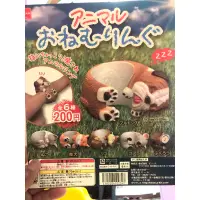 在飛比找蝦皮購物優惠-「BUY起來！」扭蛋 愛睏動物戒指  愛睏動物 轉蛋 BEA