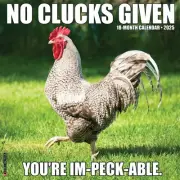 Willow Creek Press, No Clucks Given 2025 Wall Calendar