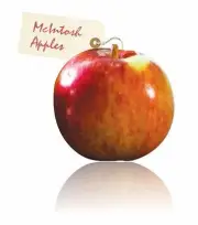 4 oz Candle Scent Oil-MACINTOSH APPLE