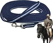 Horse Training Lunge - Horse Training Rope, Ergonomic Horse Training Rope Equine Lunge - Horse Lunge Rope for Precision Equestrian Exercise for Grassland, Circus, Stables