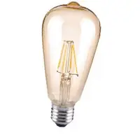 在飛比找蝦皮購物優惠-LED愛迪生 6.5W 復古金 仿鎢絲燈泡/仿古燈泡
