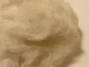 Organic Kapok Fiber - Natural Color, Sold by the Pound