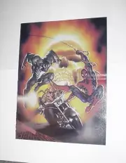 Spider-Man vs Venom Poster # 6 Ghost Rider Mark Texeira Web of 96